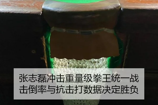 张志磊冲击重量级拳王统一战 击倒率与抗击打数据决定胜负