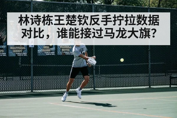 林诗栋王楚钦反手拧拉数据对比，谁能接过马龙大旗？
