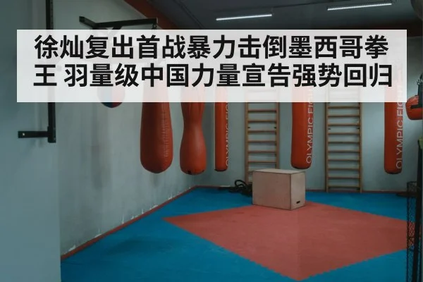 徐灿复出首战暴力击倒墨西哥拳王 羽量级中国力量宣告强势回归